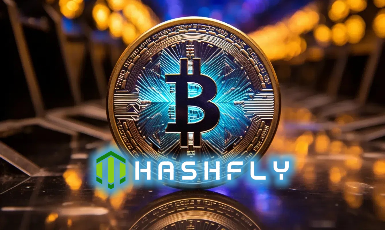 bitcoin mining hashfly